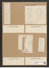 Licmophora capensis Grun. (de-Toni-Nr.: Genus 86, Species 2978) Zeichnungen Sammlung Grunow Nr. 6045 (NHMW-BOT-W0374553)